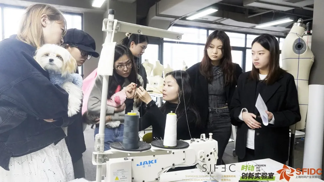 报名 丨 宠物服装设计课程三月班开始招生